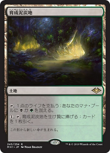 JAPANESE Nurturing Peatland [Modern Horizons]