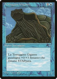 Giant Tortoise (Italian) - Testuggine Gigante' [Renaissance]