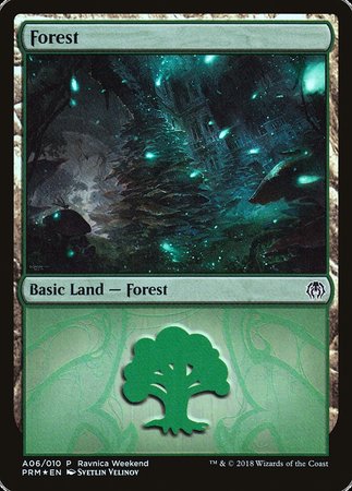 Forest - Golgari (A06) [GRN Ravnica Weekend]