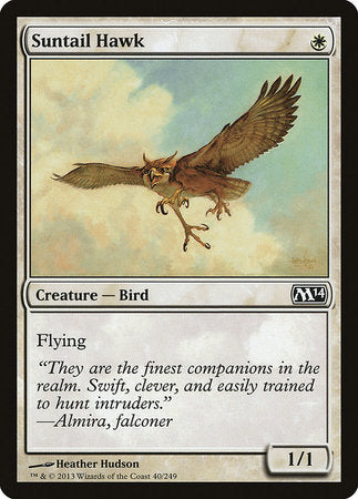 Suntail Hawk [Magic 2014] | Oasis Games Chile