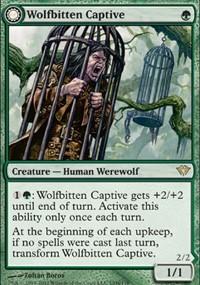 CHINESE Wolfbitten Captive [Dark Ascension]