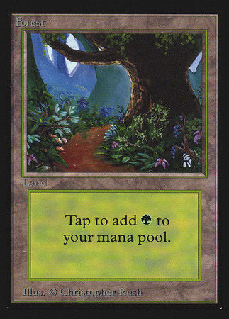 Forest (Path)(IE) [Intl. Collectorsâ€™ Edition]