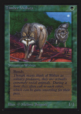 Timber Wolves (IE) [Intl. Collectorsâ€™ Edition]