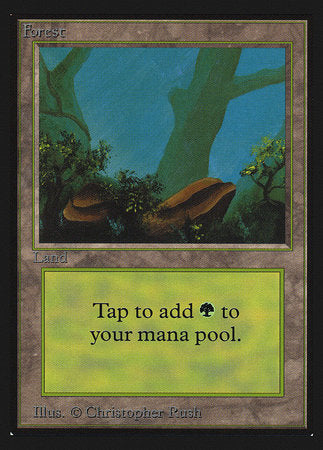 Forest (Rocks)(IE) [Intl. Collectorsâ€™ Edition]
