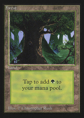 Forest (Eyes)(IE) [Intl. Collectorsâ€™ Edition]