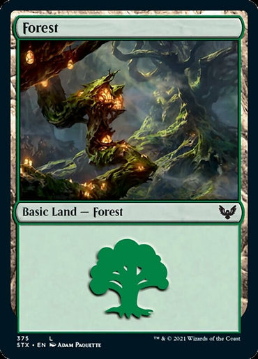 Forest (#375) [Strixhaven: School of Mages]