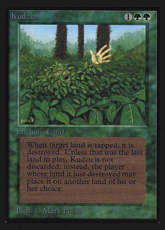 Kudzu (IE) [Intl. Collectorsâ€™ Edition]